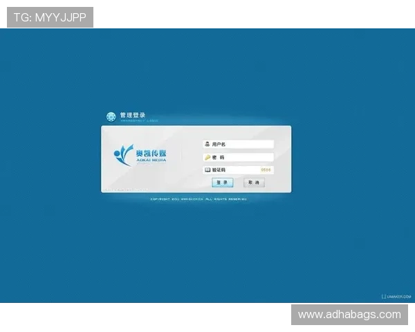 久发365登录便捷入口帮助用户快速掌握账号管理多种功能