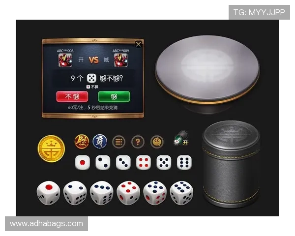 AG旗舰网站深度解析：如何利用平台优势实现高效盈利与稳定娱乐体验