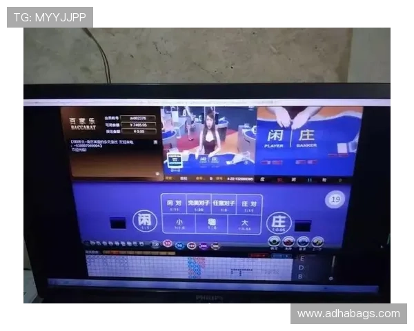 利用百家乐在线模拟器进行策略练习提升技巧掌握概率分析实现持续盈利的实用指南